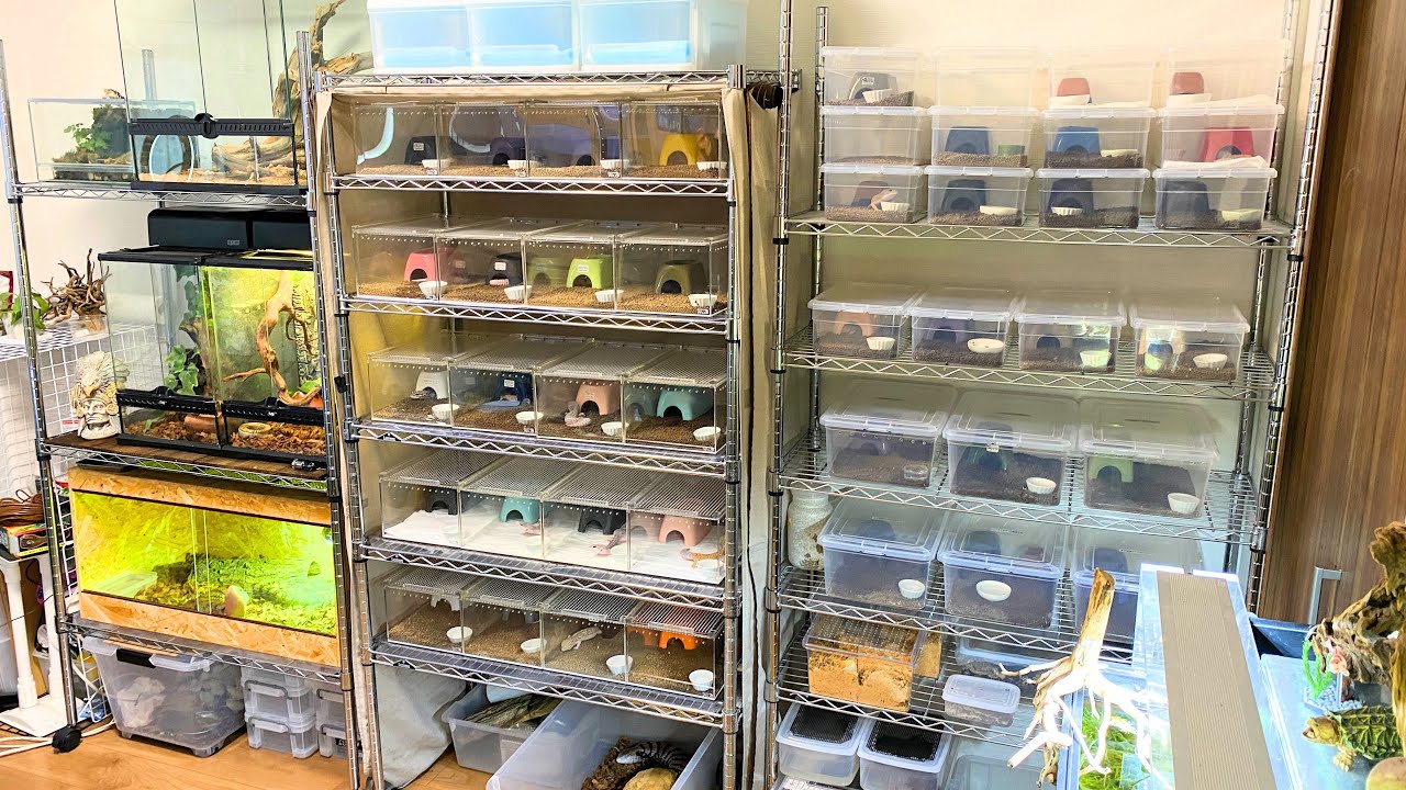 一部屋で100匹以上のペットと暮らす男の家が楽し過ぎた・・・！