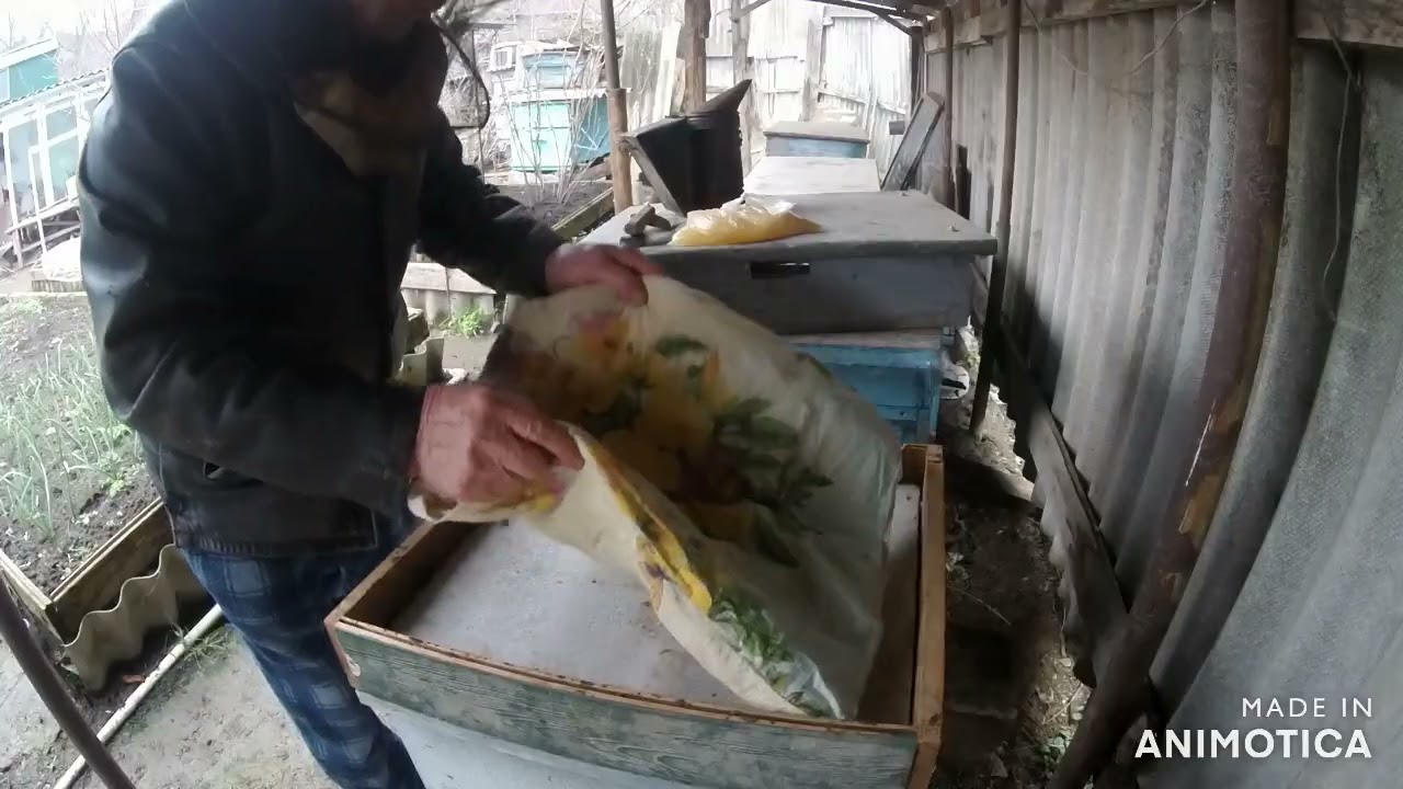 Пчёлы активизировались Главное в наращивании пчёл весной.