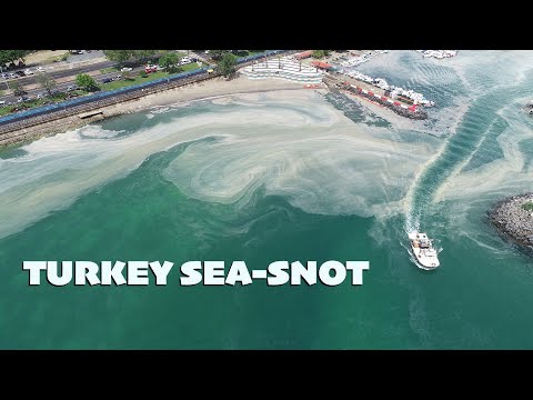 TURKEY ENVIRONMENTAL DISASTER: "Sea-snot" mucilage blankets shores of Marmara Sea