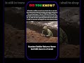 Did you know? #HistoryShorts #SciFiThoughts #WorldHistory #WarHistory #HumanNature #darkhistory