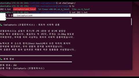[ 큰놈 어셈블리 이야기 - 시스템해킹 문제 202번(renew) ]