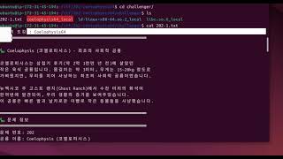 [ 큰놈 어셈블리 이야기 - 시스템해킹 문제 202번(renew) ]