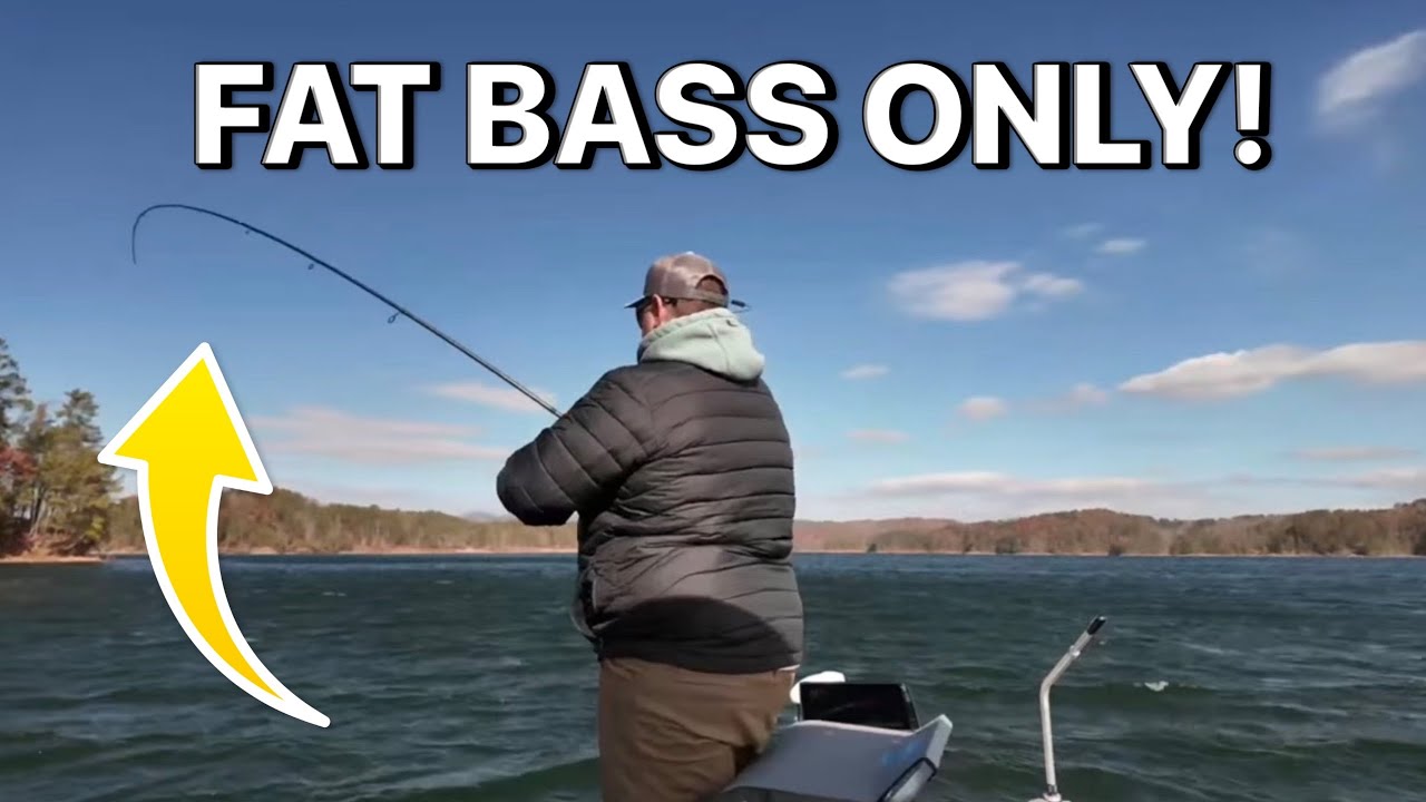 Carter's Lake WENT OFF! FAT SPOTTED BASS ONLY! Unbelievable Fishing Action at Carter's Lake!