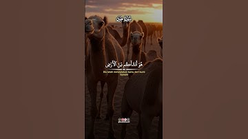 القران الكريم #اكسبلور #الرحمن #دويتو #المراه #حالات_واتس #الظروف #duet #المصحف #راحة_نفسية #الرمال