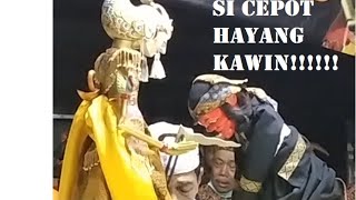 Download Lagu SI CEPOT HAYANG KAWIN !!!!!!!!!!!!!!!!!!!!!!!!!TOS TEU KIAT !!!!!! #WAYANGGOLEK part 1 MP3