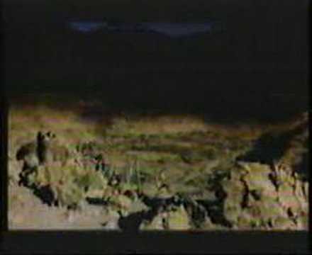 The Shamen - Move Any Mountain (12' Remix)