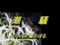 潮騒(寺本圭佑) COVER