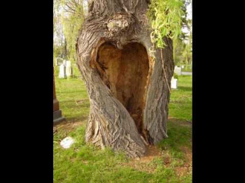 Emily Harper Mark Wills lyrics
