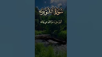 لا تهرب و احترام القرآن الكريم