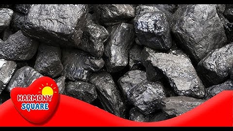 What is Coal - More Science on the Learning Videos Channel
