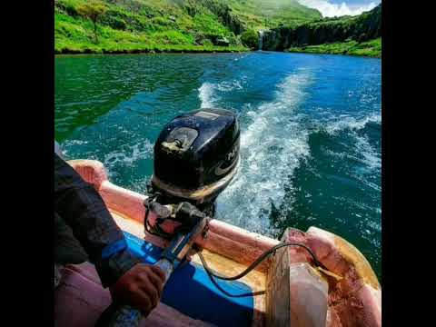 وقد دورت له عبر الجوانح ابوبكر سالم