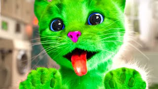 Анимационное Приключение Маленького Котенка Long Special - Зеленый Кот И Забавный Уход За Животными