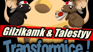 Transformice - Gilzikamk & Talestyy || Racing