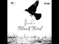 DANOLA BLACK BIRD LYRICS