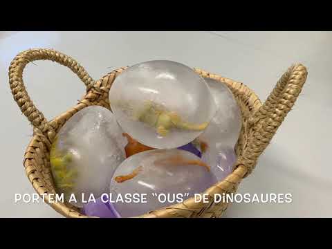 Vídeo: Falguera: De La Mateixa Edat Que Els Dinosaures A Casa Nostra