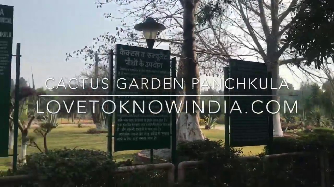 Cactus Garden Panchkula Haryana YouTube