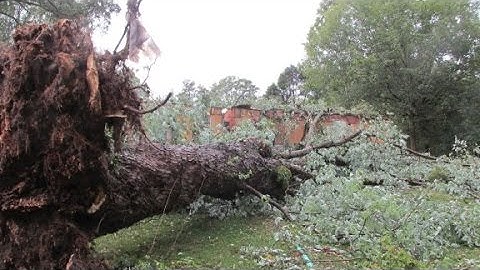 Southern storms turn deadly