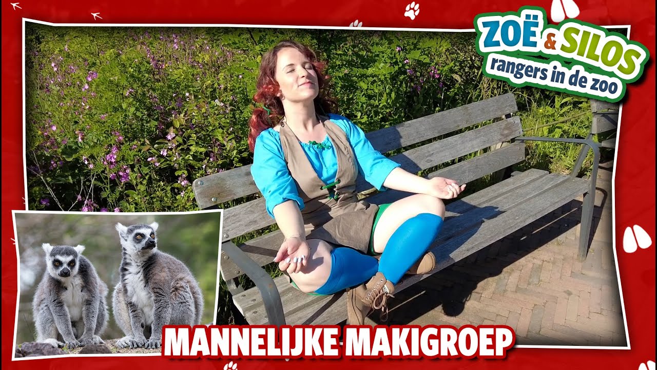 ETEN voor de RINGSTAARTMAKI klaarmaken 🍏🥕🥒 | RANGERS IN DE ZOO