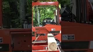 Sawing 8th poplar board without a ruler