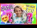 HOW WE DYE KAYLA S HAIR FOR 20😀 We Are The Davises