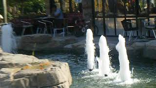 Su Dünyası - Su Köpüğü