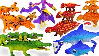 Dino Mecard Double Figure 11 Set Appeared With Giant Dinosaur And Tiny Dinosaur - Dudupoptoy