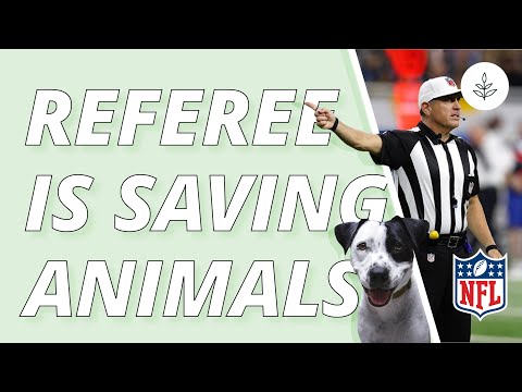 NFL Referee SAVES Animals From CRUELTY | LIVEKINDLY NEWS