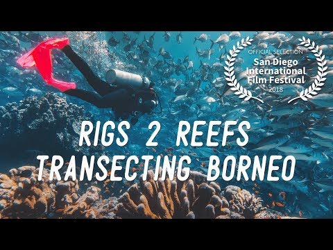 Video: Matador Originals Prezintă, Rigs To Reef: Transecting Borneo