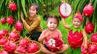Harvesting Dragon Fruits with My Kids – Selling at the Market and Buying Baby Chicks and Ducklings