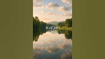 سورة هود (ماهر المعيقلي) #سورة_هود #قرآن #اسلام #قران_كريم #الله #quran #islam #ماهر_المعيقلي