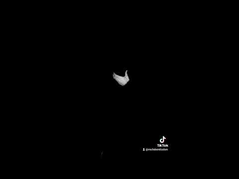 كان مين فيكم ف يوم كان شال همي تعبيرات م عبر الظلام شهاب صابر عصام صاصا