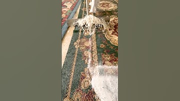 foam asmr scraping #satisfying #scraper #asmr #shorts