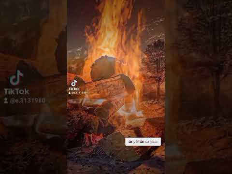 شعر موشغلت مرض ويطيبه الدكتور حالات واتساب ستوريات تيك توك