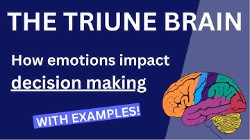 Using the Triune Brain model to understand how emotions impact decision making