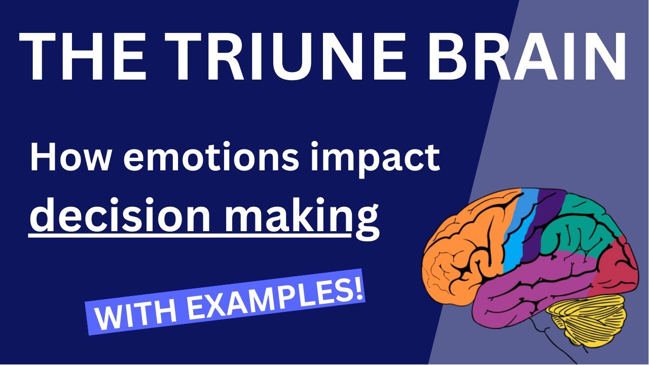 Using the Triune Brain model to understand how emotions impact decision ...
