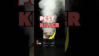 Download Lagu An Ounce of Prevention Is Worth a Pound of Reef Tank Pest Cures! MP3 Download Lagu An Ounce of Prevention Is Worth a Pound of Reef Tank Pest Cures! MP3