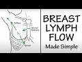 Breast Lymphatic Drainage Explained Clearly (Axillary Nodes &amp; Spread)