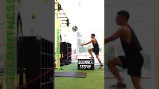 anchored BAND stepups with low rows; beginner intermediate and advanced variations