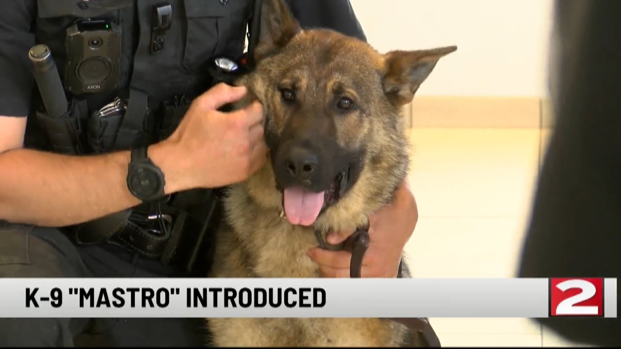 Welcome Officer Mastro to the Force: Oneida County Sheriff's Office Introduces New K-9 to Public