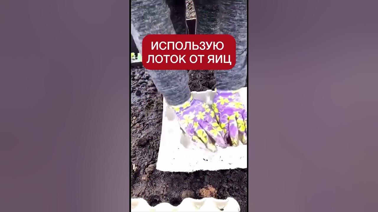 редис сажаю только так быстро и удобно. #сад #дача #растения #youtube # ...
