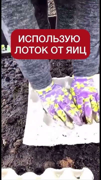 редис сажаю только так быстро и удобно. #сад #дача #растения #youtube # ...