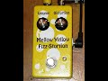 Mellow Yellow Fizz-Stortion