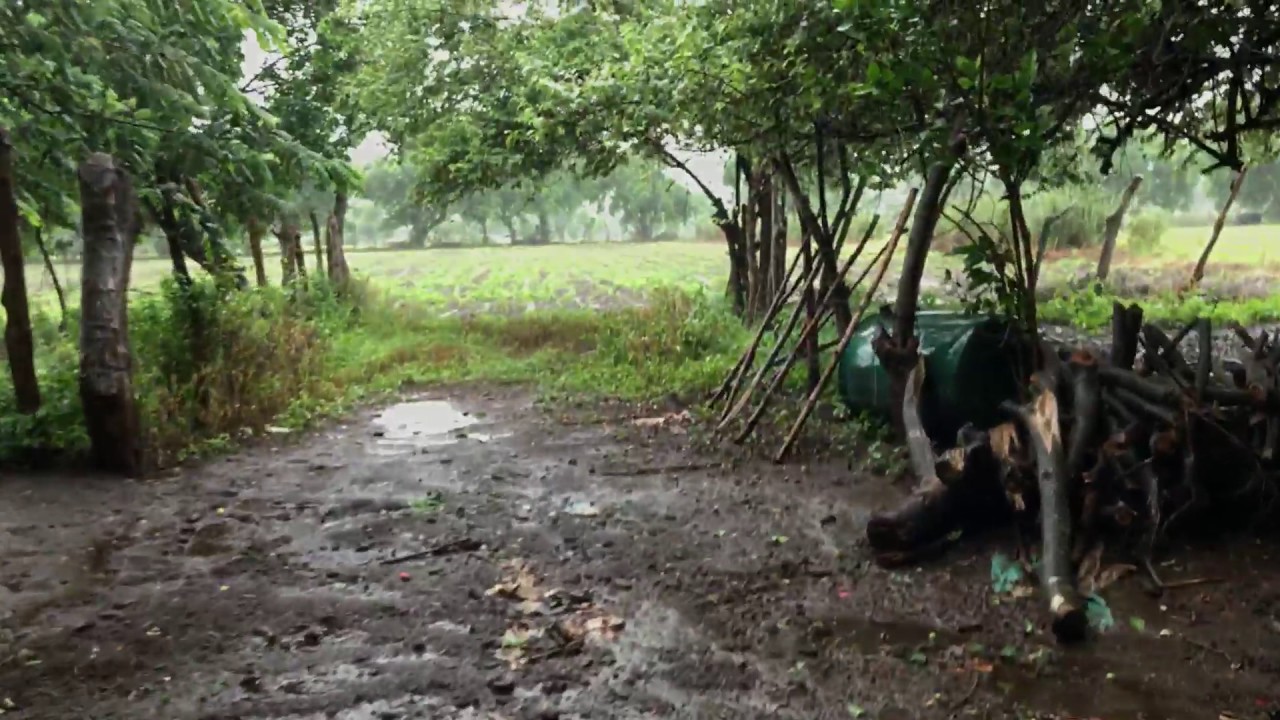 Grabo cuando llueve en el patio de mi casa. YouTube