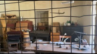 Mlog Still In The Gold Rush