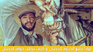 لماذا نضع الحدوة للحصان  و كيف ننظف حوافر الحصان