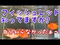 アロワナ過背金龍⑯ フィッシュレットの説明