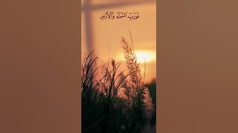 #سورة الذاريات #أسلام صبحي (وَفِي السَّمَاءِ رِزْقُكُمْ وَمَا تُوعَدُونَ )#اكتب_شيء_تؤجر_عليه🌿🕊