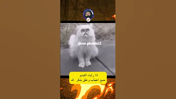 حيوانات وكان الجن تلبسها مرعب Shorts فوبيا فوبيا رعب 
