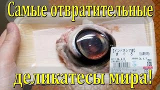 Самые отвратительные деликатесы в мире! Самые отвратительные деликатесы в мире!