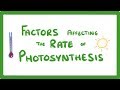 Factors Influencing Photosynthesis and Their Impact on Plant Growth